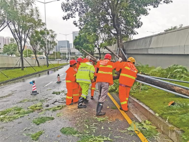 市交通运输局工作人员协助清理道路上的倒伏树木。.jpg