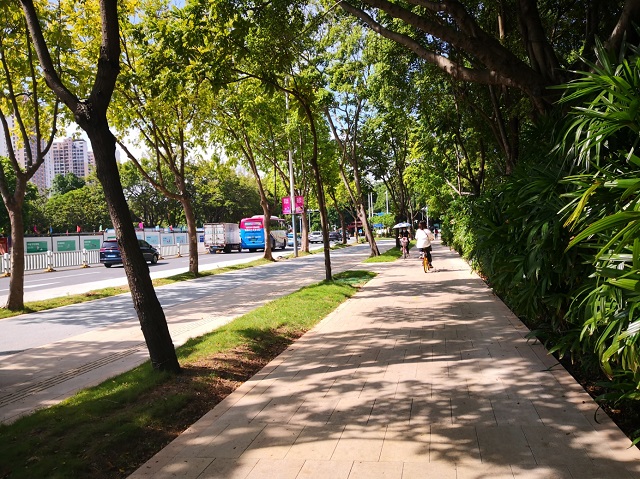 新洲路提升工程（金地一路-福荣路样板段）实景图.jpg