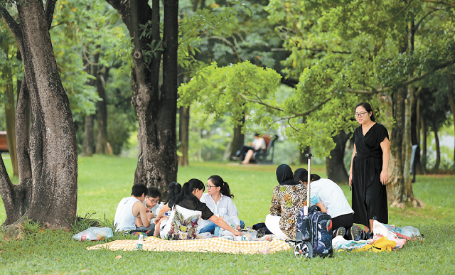 每到假期，深圳市民喜欢全家出动，乘坐观光巴士去景点聚会游玩。.jpg