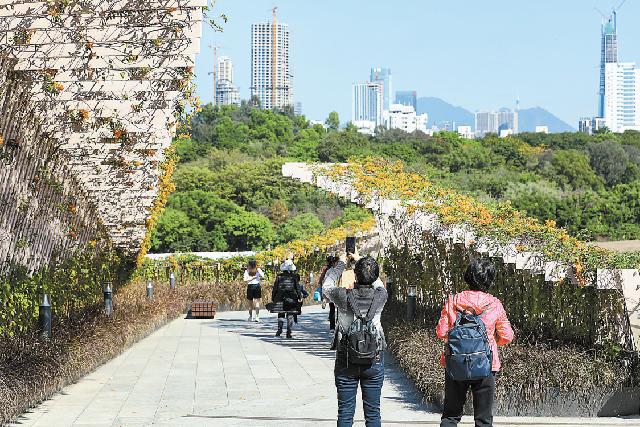2月14日，在笔架山廊桥宽敞的桥面上，市民结伴走走逛逛，享受惬意的休闲时光。.jpg