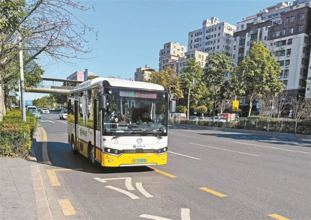 深圳特区报.jpg