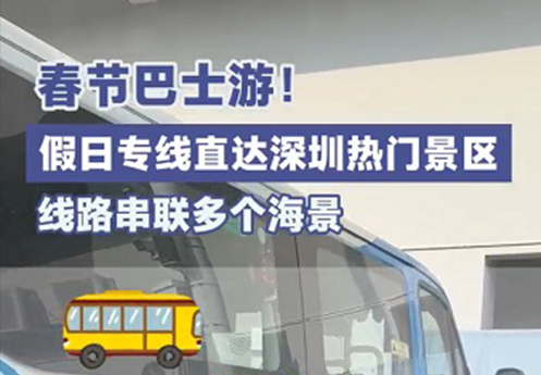 春运巴士游