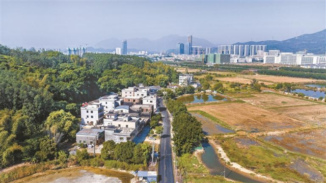 升级改造后的鹅新路旧貌焕新颜，既方便村民出行，也迎来活力与商机。.jpg