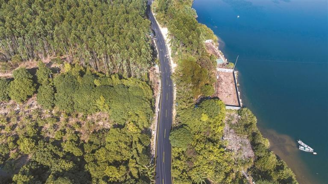 整治后的龙山路成为一条景观路。.png