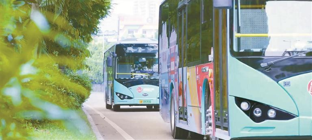 记者从西部公汽了解到，为满足市民群众端午出行，该公司将于2025年5月31日端午当天开通B869线路，它可以同时满足市民多样的端午出行期许——走大顶岭绿道、逛光明农场大观园、游光明滑草场、览深圳科学技术馆。2.png